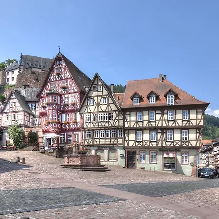 Hotel Zum Wiesengrund Heimbuchenthal