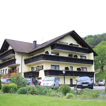 Hotel Zum Wiesengrund Heimbuchenthal