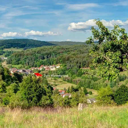 Zum Wiesengrund Hotel