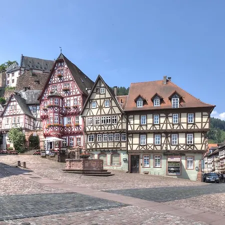 Otel Zum Wiesengrund Heimbuchenthal