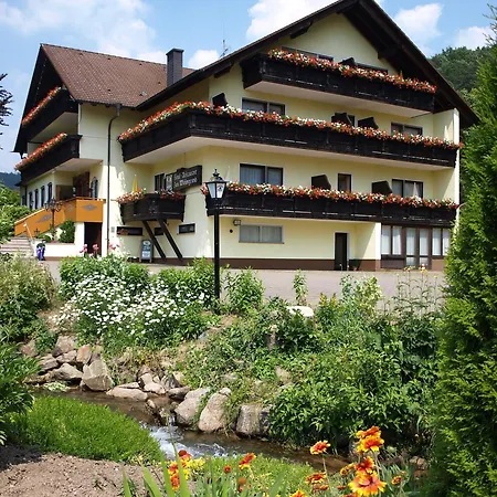 فندق Zum Wiesengrund