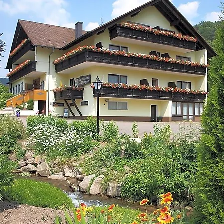 Zum Wiesengrund Hotel
