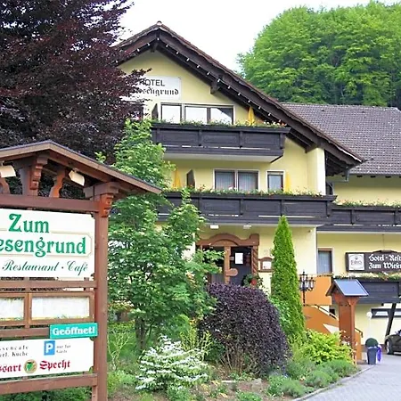 Zum Wiesengrund Hotel 3*