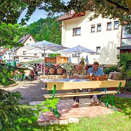 Zum Wiesengrund Hotel Heimbuchenthal