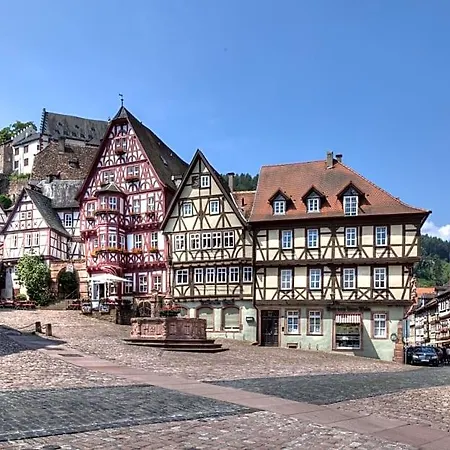 Zum Wiesengrund 3* Heimbuchenthal