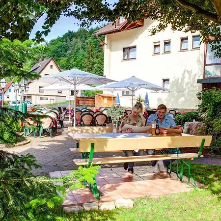 Otel Zum Wiesengrund 3*