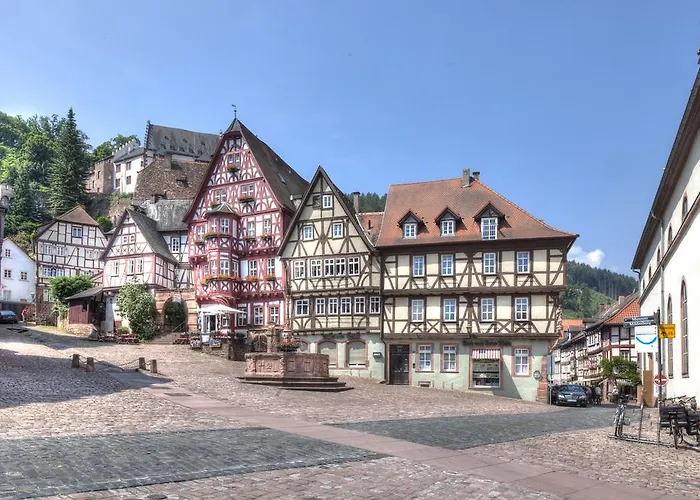 Hotel Zum Wiesengrund Heimbuchenthal