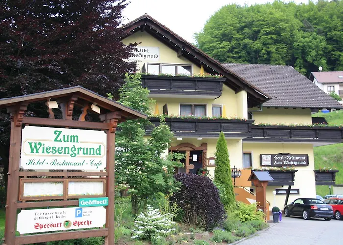 فندق Zum Wiesengrund هيمبخنثال