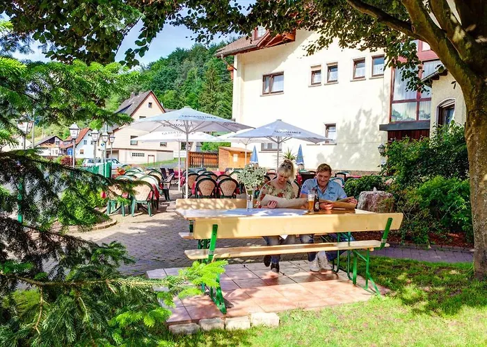فندق Zum Wiesengrund 3*